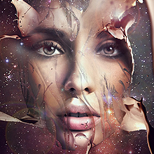 在线轰炸电话网页版